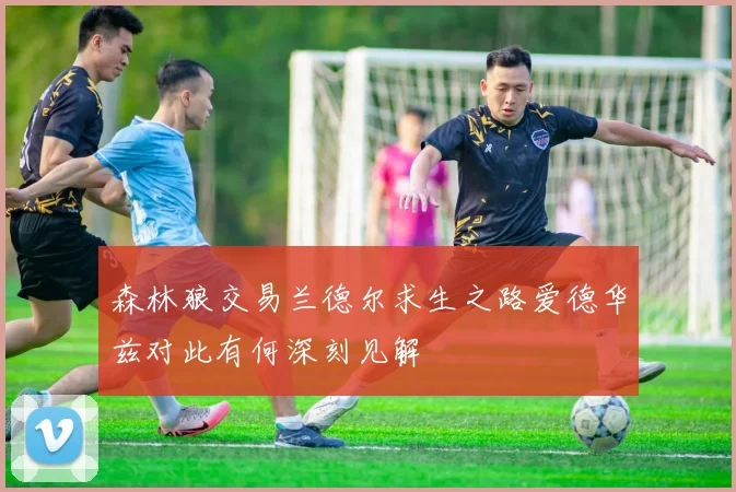 森林狼交易兰德尔求生之路爱德华兹对此有何深刻见解