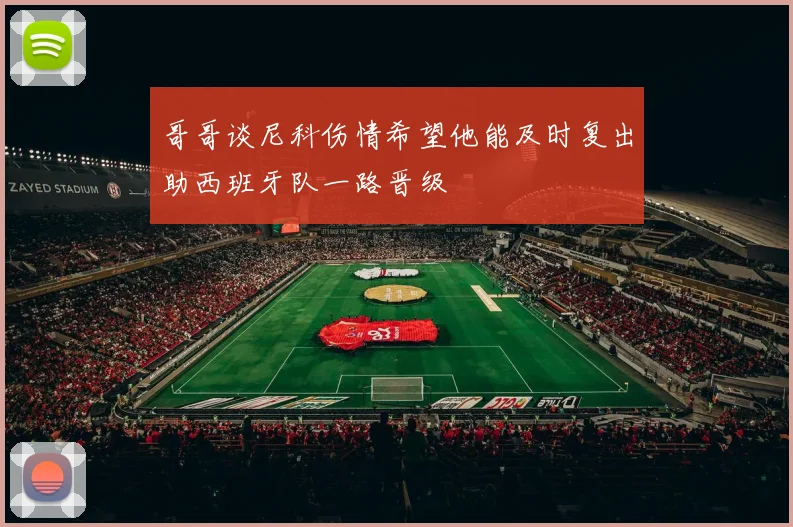 哥哥谈尼科伤情希望他能及时复出助西班牙队一路晋级