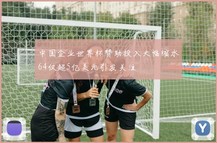 中国企业世界杯赞助投入大幅缩水64仅超5亿美元引发关注